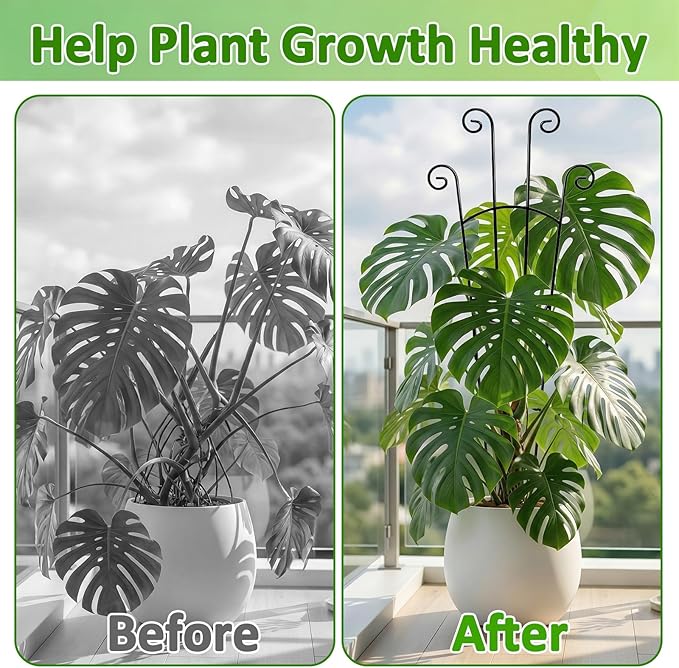 Monstera Plant Support - 4-Pack of 32.6" Tall Plant Trellis Stakes for Large Indoor Vines | Adjustable Dual Pole Frame for Monstera Deliciosa & Potted Plants