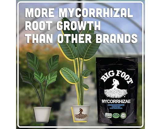 Big Foot Mycorrhizae for Plants, Potted Plants and Gardens - Concentrate Fully Dissolves in Water, Year Round Organic Fertilizer for Root Growth and Healthy Soil - 4 Ounces
