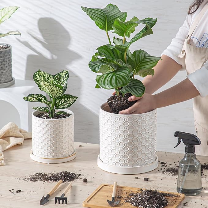 6 Inch Plant Pot: Ceramic Planter with Drainage Hole & Saucer Indoor Outdoor Plants - Cylinder Round Flower Pot for Home Office - Modern Decorative - Small White