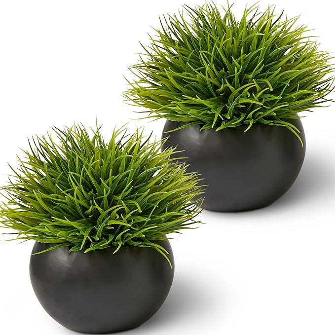 Fake Succulents Plants Artificial in Premium Ceramic Pots (2 Pack Round) Realistic Faux Succulents for Bathroom, Home & Office Décor