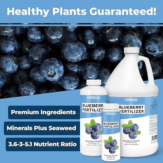 Blueberry Fertilizer – Liquid Plant Food for Bigger Berries, Better Fruit Production & Stronger Root Development, 8 oz