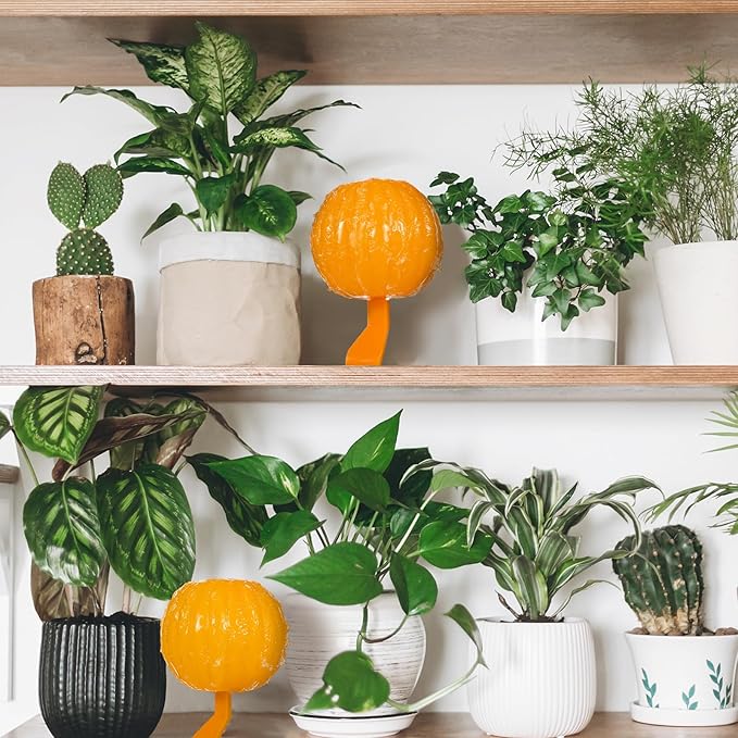 Qualirey 10 Set Sticky Fruit Fly Trap Balls Adhesive Fungus Gnat Sticky Balls for Plants Fly Catching Indoor Outdoor Garden Kitchen Gnat Flying Insects Traps (Orange)