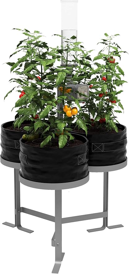 Harmony Garden Herbs and Vegetables Grow kit - Black