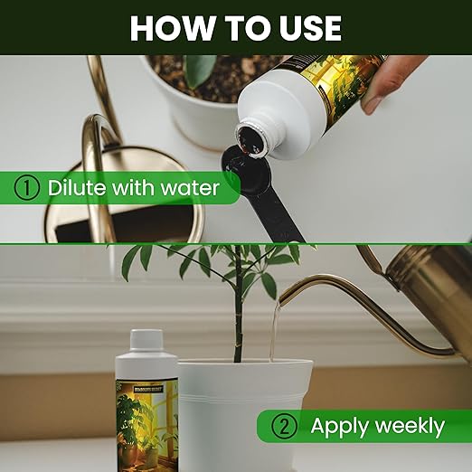 Humboldts Secret Everything Indoor Plant Food | 3-3-3 All Purpose Liquid Fertilizer with Norwegian Kelp | Supports Growth and Strong Roots | Nutrients for Houseplants & Indoor Plants | 32 Ounce