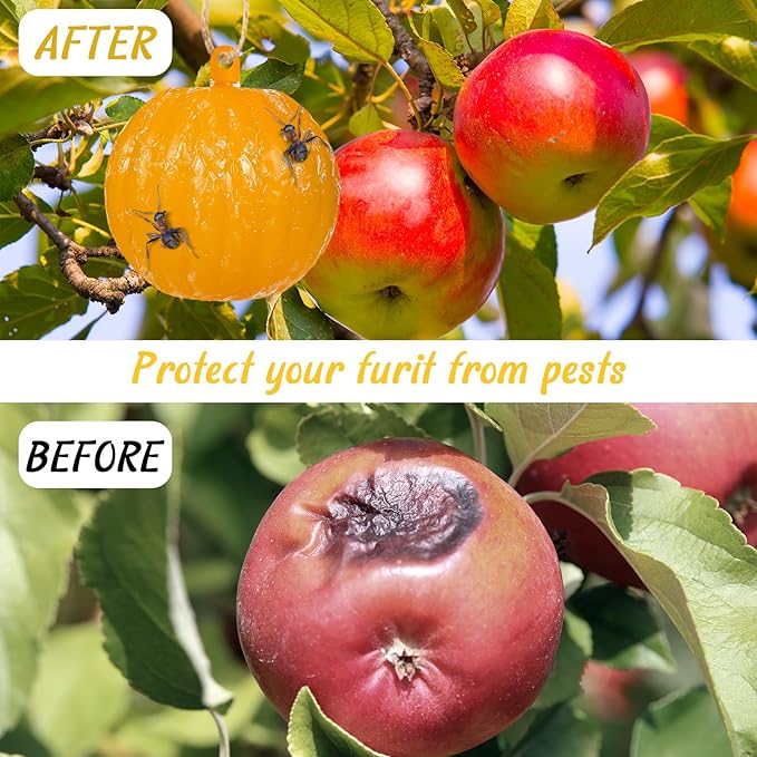Qualirey 10 Set Sticky Fruit Fly Trap Balls Adhesive Fungus Gnat Sticky Balls for Plants Fly Catching Indoor Outdoor Garden Kitchen Gnat Flying Insects Traps (Orange)