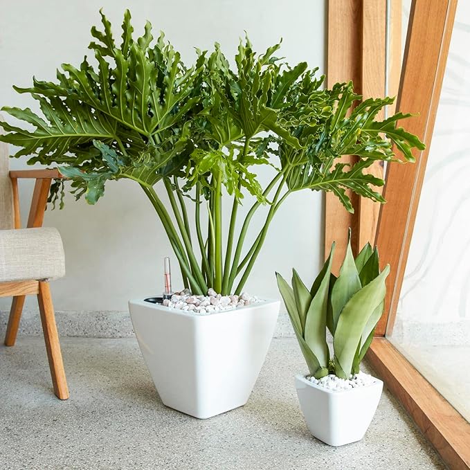 Set of 2, Smart Self-Watering Planters for Indoor and Outdoor -Square, White