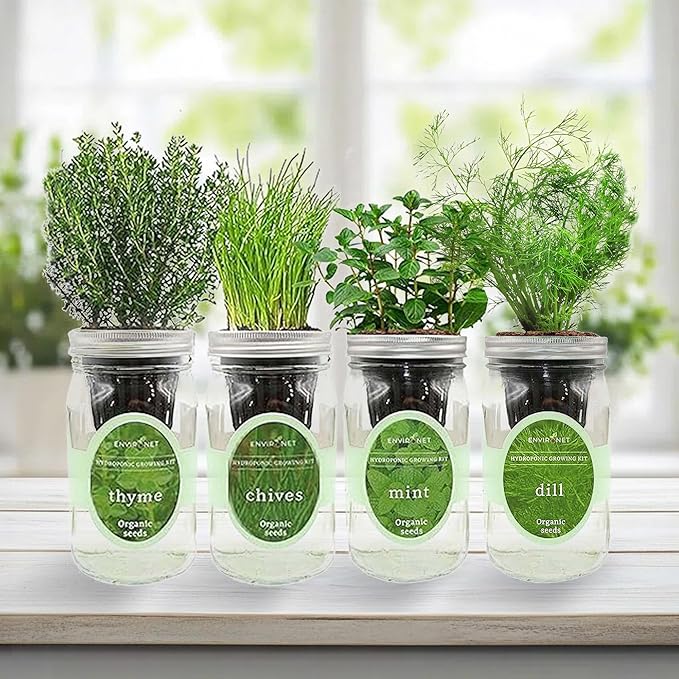 Hydroponic Herb Growing Kit Set, Self-Watering Mason Jar Herb Garden Starter Kit Indoor, New Christmas Gift for Mom (Mint,Thyme,Chives&Dill)