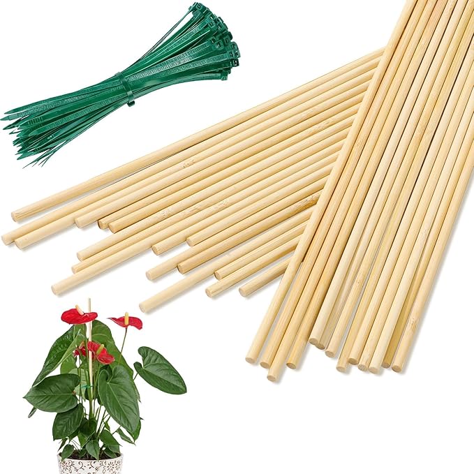 AUGSHY Bamboo Plant Stakes 18 Inch, 64 PCS Natural Bamboo Garden Stakes for Plants and Plant Support Stakes for Indoor Outdoor Plants Tomato Vegetable Beans Potted Climbing Plants