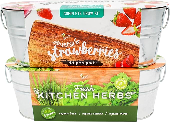 BUZZY Seeds 2-Pack Windowsill Grow Kits, Strawberry and Organic Herb Gardening Set with Basil, Cilantro, Chives, Non-GMO Seeds, Growing Medium and Planters, Housewarming Gift Idea