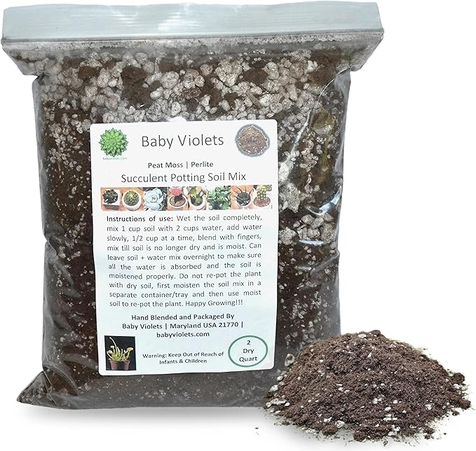 Succulent (½ Gallon / 2 quarts) Plant Potting Soil Mix Peat Moss & Perlite