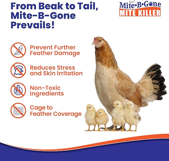 Mite Killer Spray by Mite-B-Gone - 32oz | Plant-Based Treatment for Human, Dust, Chicken, Bird, Carpet & Rat Mites in Homes, Furniture & Bedding | Farm, Family & Pet Safe