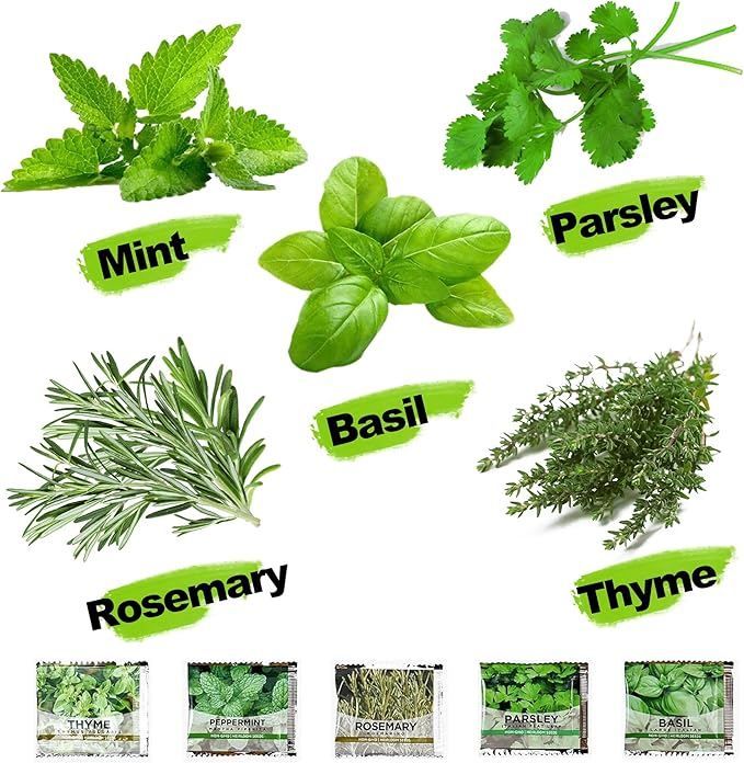 Meekear 5 Herb Indoor Starter Kit, Complete Planting Set for Kitchen Herb Garden DIY & Gift