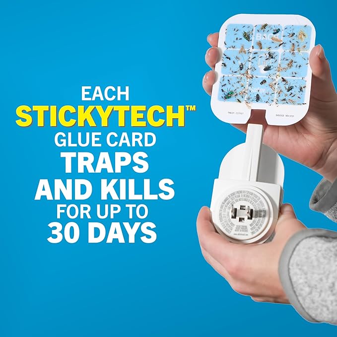 Safer Home Indoor Plug-in Fly Trap - SH502-2SR - Effective Fruit Fly Traps for Indoors, Gnat Traps for House Indoor, 800 Total Sq Ft Protection - 2 Devices + 2 Glue Cards
