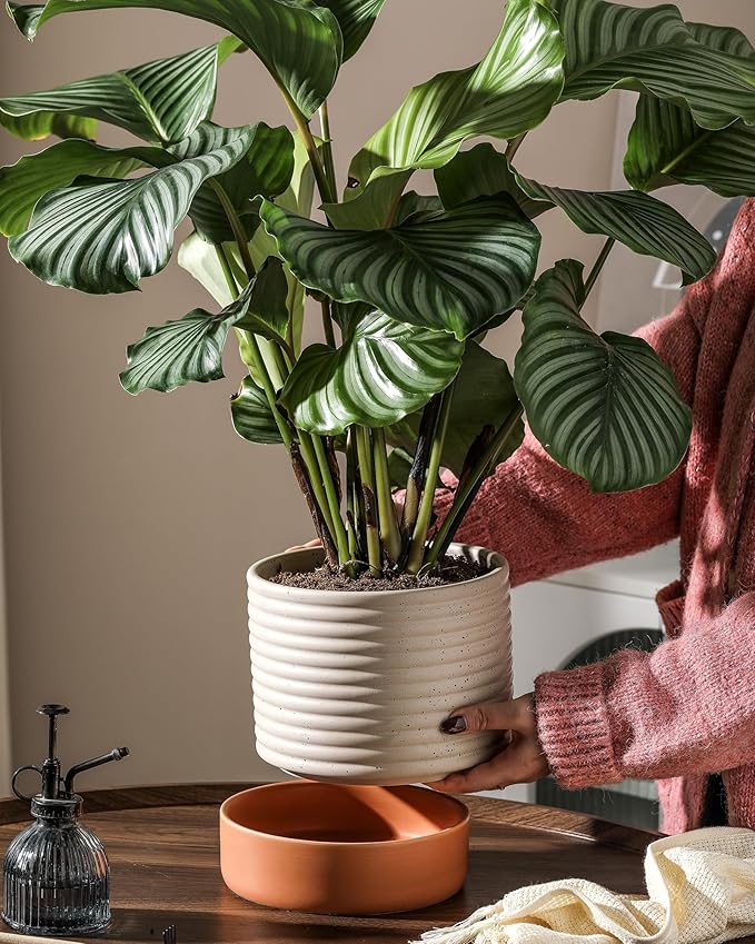 Self Watering Plant Pot : 8 Inch Ceramic Planter with Drainage Hole & Water Storage Plus - Flowerpot for Indoor & Outdoor Plants (Beige & Red-Brown)