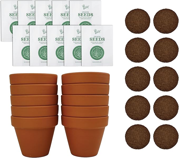 BUZZY Seeds Sunflower Starter Kit Bulk 10 Pack – 3inch Terracotta Pots, Soil Pellets, Flower Seeds for DIY Craft Projects, Favors, and Seed Starting