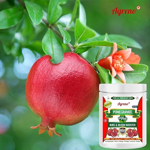 Agreno® Pomegranate Buds and Fruits Booster, Essential Powerful Organic Fertilizer Granule for Fast Growth and Heavy Fruiting of all types of Pomegranate Plants. (450 gm)