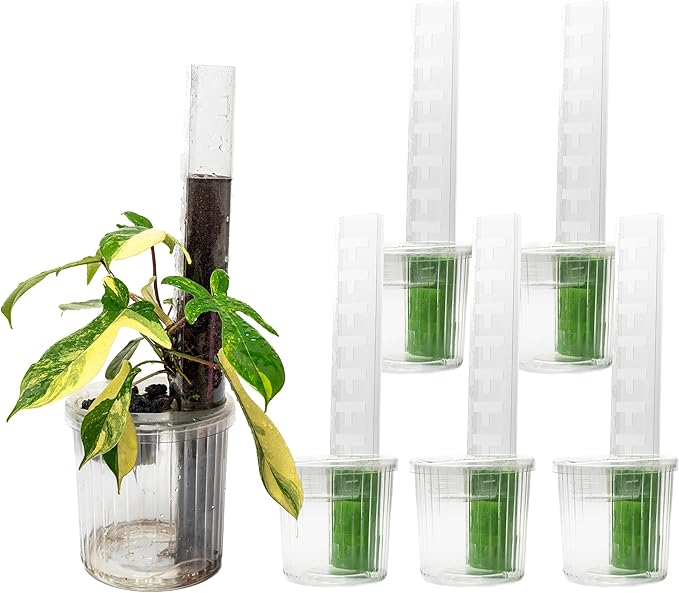 THICCLY Medium GrowLid 5 Pcs (Clear) - Self Watering Clear D-Shaped Plastic Moss Pole Hydroponics Growing System Kratky Hydroponic Kit Moss Pole Monstera Plant Support Philodendron and Anthuriums