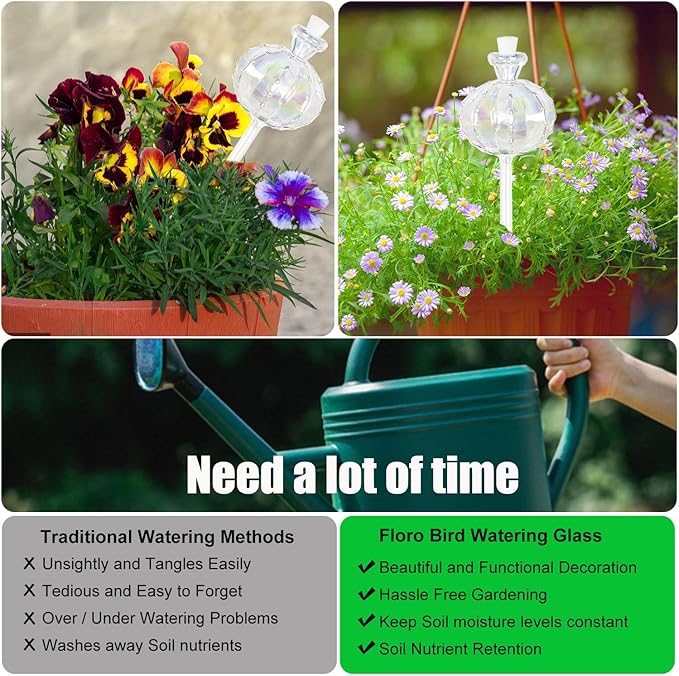 3 PCS Top-Fill Self Watering Globes, Automatic Plant Watering Devices, Transparent Self Watering Planter Insert, Durable Clear Glass Aqua Bulbs for Indoor, Cactus Shape, & Funnel