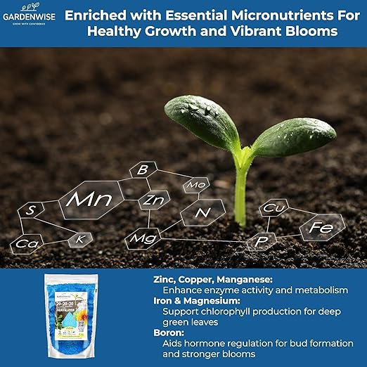 Gardenwise 20-20-20 Water-Soluble Fertilizer – Powder for Liquid Plant Food for Indoor & Outdoor Plants, Orchids, Vegetables, Lawns, Flowers – 20 20 20 Fertilizer 5 Quarts (10 lbs)