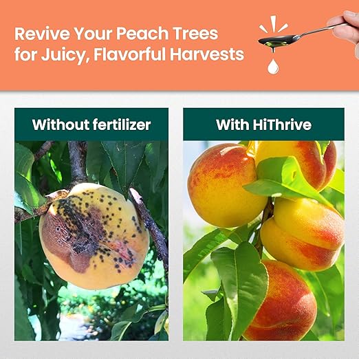 32oz Peach Plant Fertilizer - Makes 32 Gallons of Peach Tree Fertilizer for Peaches, Liquid Plant Food with Macronutrients + Micronutrients for Bigger, Sweeter Fruits, Healthy Growth & Strong Roots