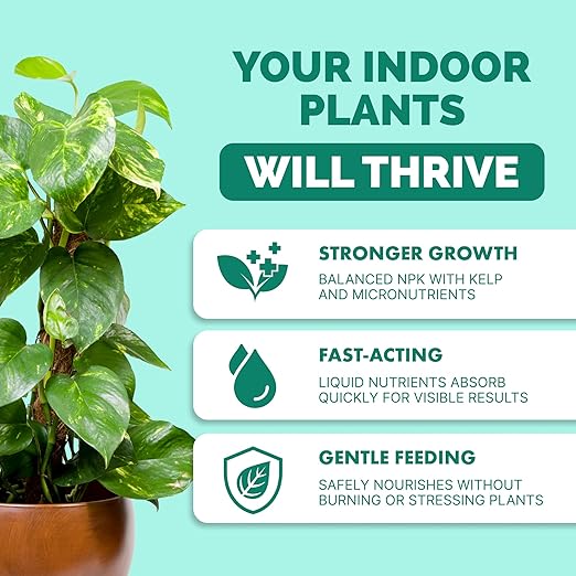 Indoor Plant Food – Liquid Fertilizer for Houseplants, New Growth, Greener Leaves, and Strong Roots, 32oz