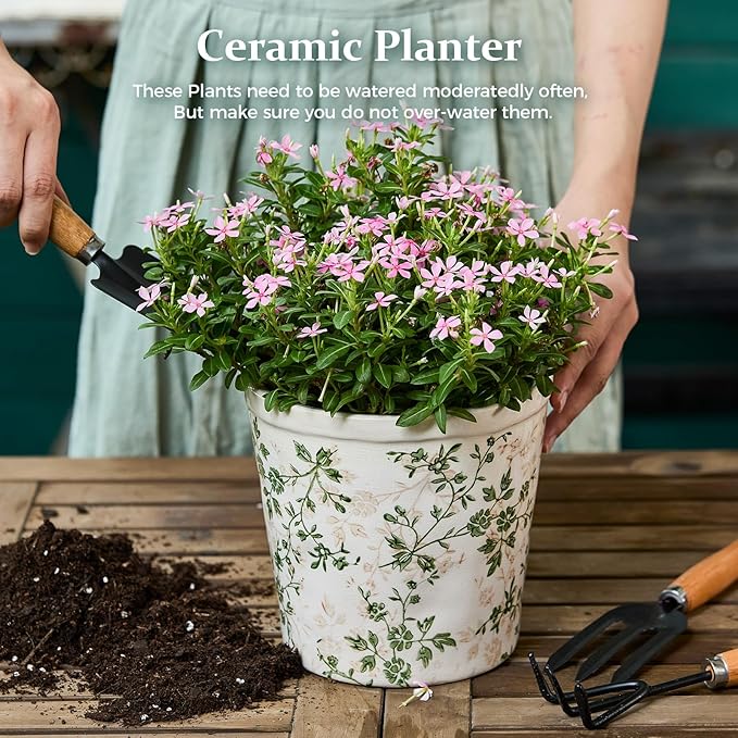 Teweiqi Ceramic Planter with Drainage Hole, Plastic Tray & Mesh, 6 Inch - Indoor/Outdoor Flower Pot for Orchids, Succulents, Green Floral Modern Farmhouse Décor for Home,Office and Garden, Ideal Gift