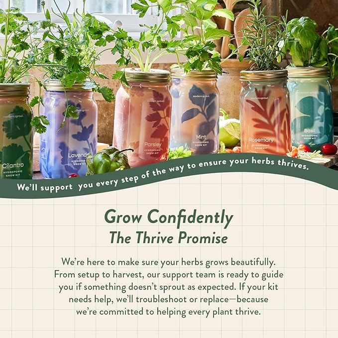 Modern Sprout Mason Garden Jar - Self-Watering Hydroponics Growing System Kit with Organic Herb Seeds - Jar Planter for Indoor Herb Garden - Seed Starter Kit - Home Decor & Gifting - Cilantro