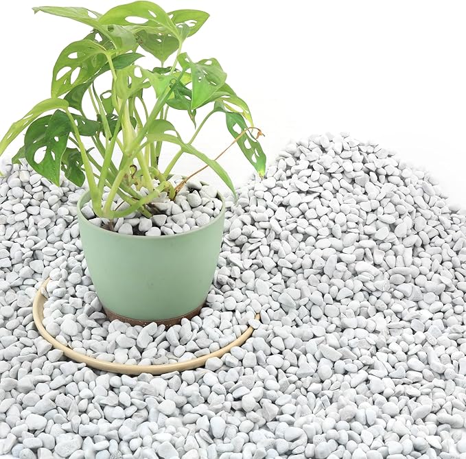 9 Quarts Chunky Perlite for Plant Soil Amendment for Potting Soil, Improves Drainage and Aeration for Soil, Ideal for Succulents, Orchid, Flower Plants (1/4 inch)