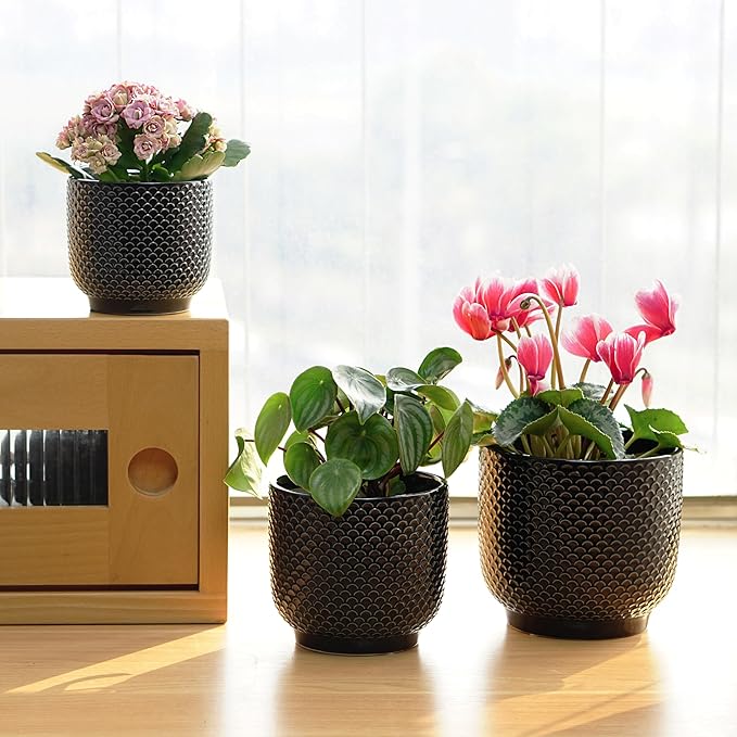 4 + 5 + 6 Inch Ceramic Pots for Indoor Plants, Succulents Plant Pots, Orchid Flower Pot with Drainage Hole, Modern Clay Stoneware Planters, Set of 3 (Black, 4+5+6 Inch)