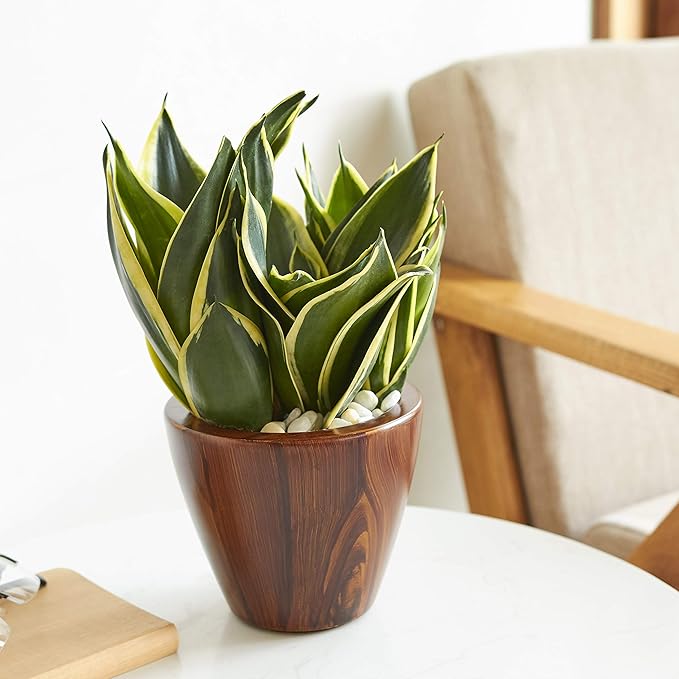 Set of 2, Smart Self-Watering Planters for Indoor and Outdoor - Round, Imitation Wood