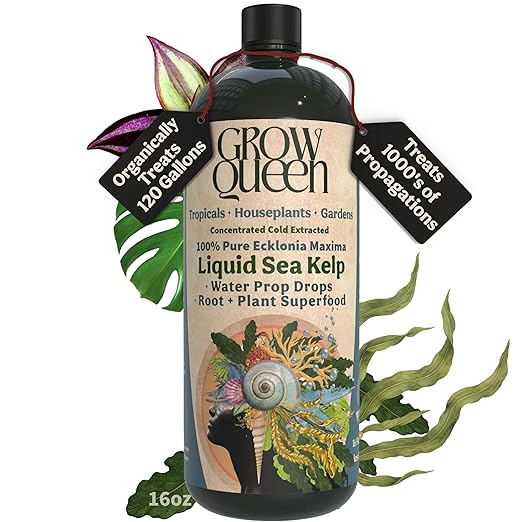 Organic Liquid Kelp & Seaweed Extract Prop Drop (Ecklonia Maxima) – Root + Plant Growth Hormone & Root Plant Food for Water Propagation, Hydroponics & Soil – 16oz 120 Gallons