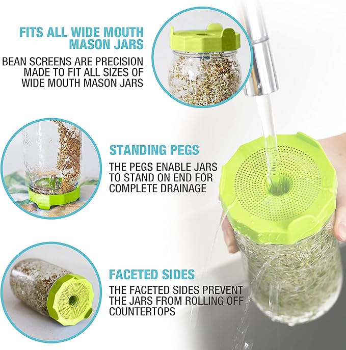 Masontops Mason Jar Bean Sprouting Jar Starter Set - Easy DIY Bean Sprout Kit with Organic Seeds, Sprouting Lids, Complete Bean Sprouts Grow Kit