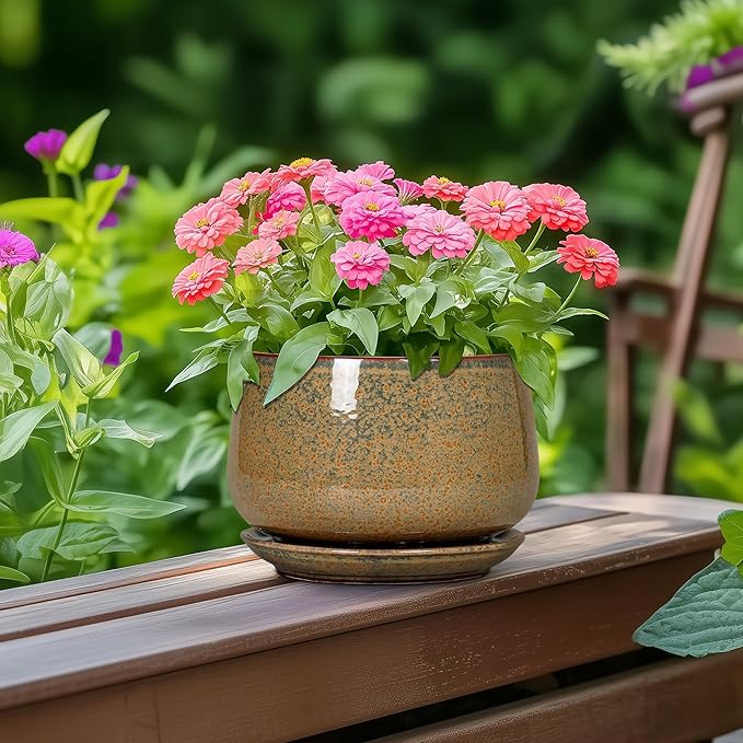 G EPGardening 6 Inch Plant Pot - Ceramic Succulent Pots with Drainage and Ceramic Tray, Round Planter for Indoor Outdoor Plants, Decorative Flower Pots, Home Decor, Gift for Women Men, Speckled Brown