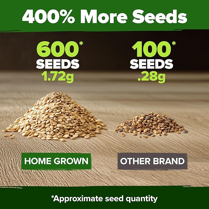 HOME GROWN Beefsteak Tomato Seed 2Pack - 600 Heirloom Tomato Seeds for Planting Outdoors High-Yield Non-GMO Vegetable Seeds for Growing Large, Meaty Tomatoes for Summer Dishes (Solanum lycopersicum)