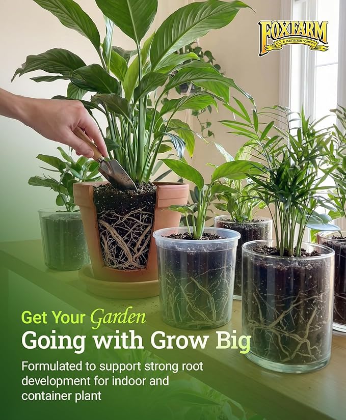 FoxFarm Grow Big Liquid Plant Food - 6-4-4 House Plant Fertilizer for Lush Vegetative Growth, Fast Nutrient Uptake for Roses, Tomatoes & Veggies - 2.5 Gallon Size Concentrate