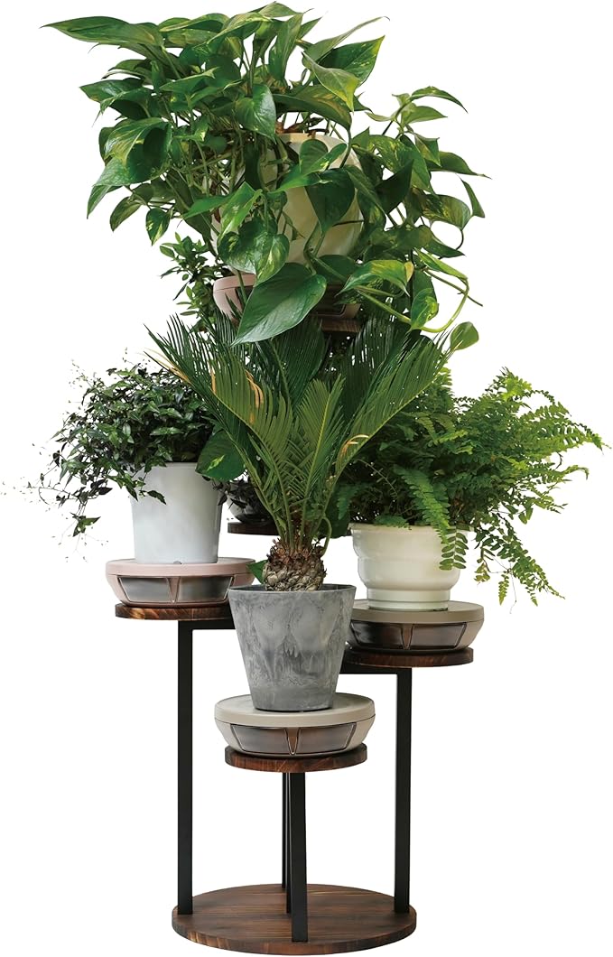 Smart Plants Saucer (Sakura)| Create a Healthy Root Environment | Easy Care for Indoor Plants Base Plant Care | 7.9inch | Water Capacity: 350m L |
