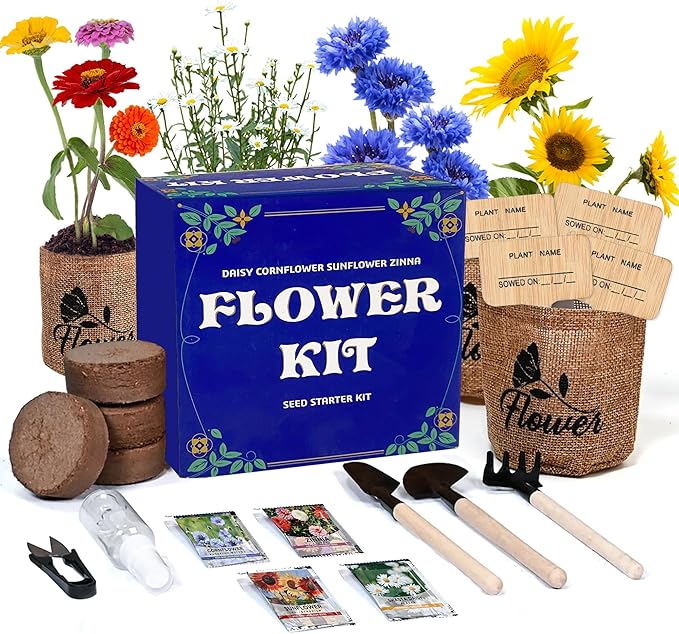 Indoor Daisy Garden Starter Kit, 4 Flower Seeds Growing into Shasta Daisy, Cornflower, Sunflower, Zinnia, Including Complete Gardening Tools for Women Men & Beginners