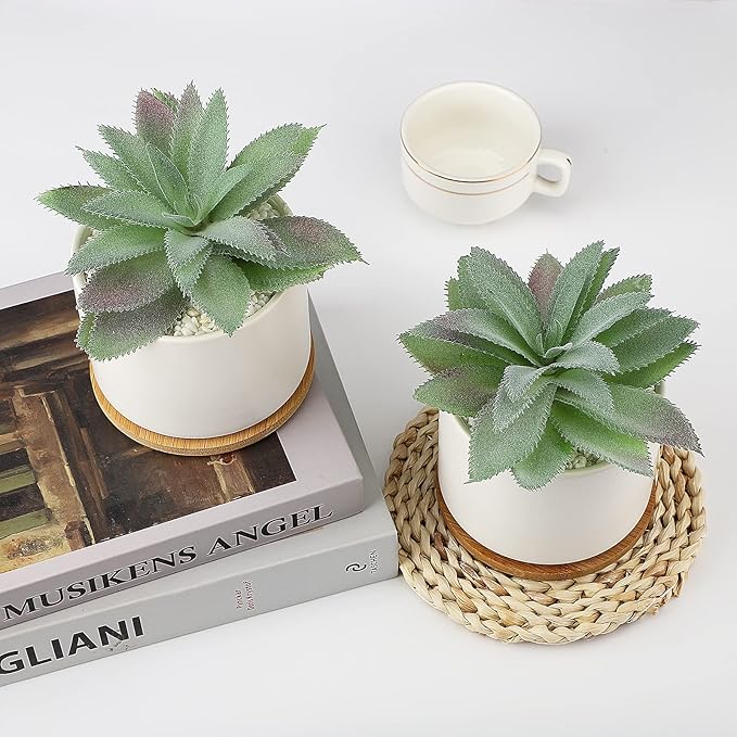 Hopewood Artificial Succulents Plant, Faux Agave Succulent Plant in Ceramic Pots with Bamboo Tray, Fake Potted Plants for Office Desk Living Room Decor(Set of 2)