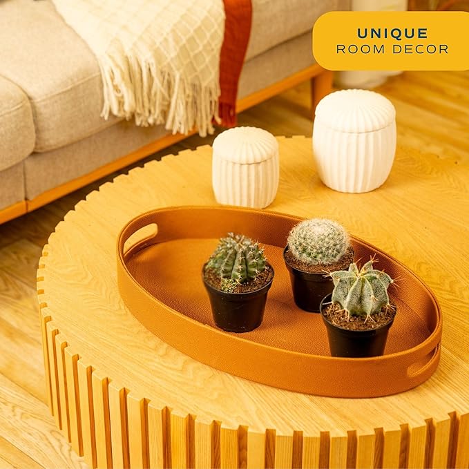 Costa Farms Cactus Live Plants in Plastic Post, Easy to Maintain Succulent Indoor Houseplant, Home, Room, or Office Decor, Great House Warming or Birthday Gift, 4-8 Inches Tall, Pack of 3