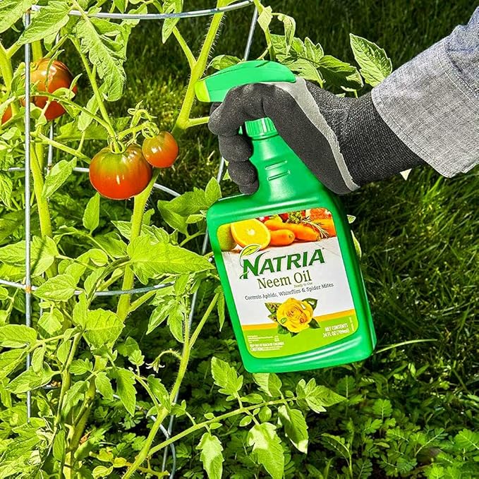 Natria 706250A Neem Oil Spray for Plants Pest Organic Disease Control, 24 Ounce 8 Pack, Ready-to-Use