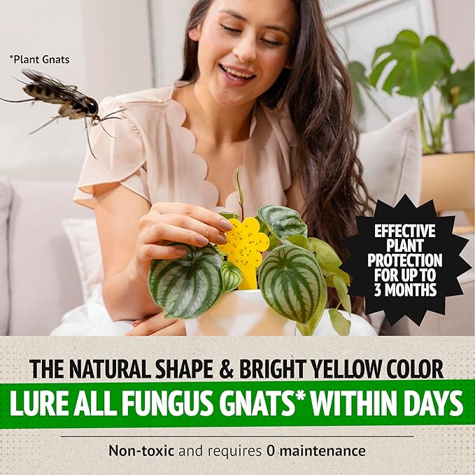 Super Ninja Fungus Gnat Traps - 30 Pack, Highly Effective Gnat Traps for House Indoor, Yellow Sticky Trap for Plants, Non-Toxic & Nature-Friendly, Up to 3 Months