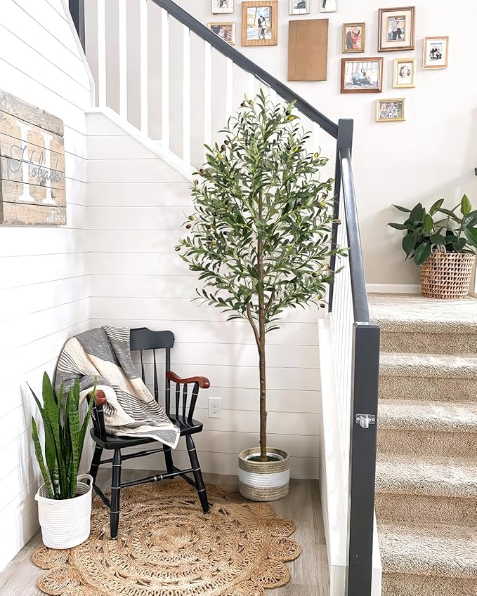 6FT Artificial Olive Tree - Indoor Tall Faux Olive Trees with Basket&3PCS 18Inch Olive Branches, Large Fake Olive Silk Tree Realistic Olive Plants for Home Decor Office Living