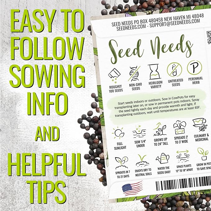 Seed Needs Rosemary & Sage Seeds for Planting Fresh Kitchen Herbs - Non-GMO Heirloom & Untreated Perennial Herb Seed to Plant a Culinary Garden Indoors or Outdoors (2 Pack Duo)