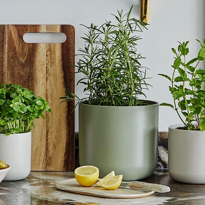 Ivyline Planter, Ceramic, Sage, H20.5cm x D20.5cm