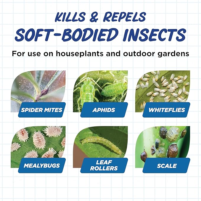 Earth's Ally Outdoor Indoor Plant Insecticide Concentrate - Insecticidal Soap for Plants - Insect Repellent Pest Control for Spider Mite, Aphid, Mealybug - Bee, Pet, Kid Safe - 32 Oz, Makes 5 Gallons