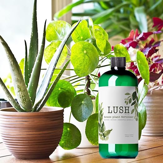 Lush Houseplant Fertilizer – Concentrated Liquid Plant Food (Makes 50+ Gallons) – 3-1-2 NPK for Indoor Plants, Monstera, Pothos & More - 500ml Concentrate
