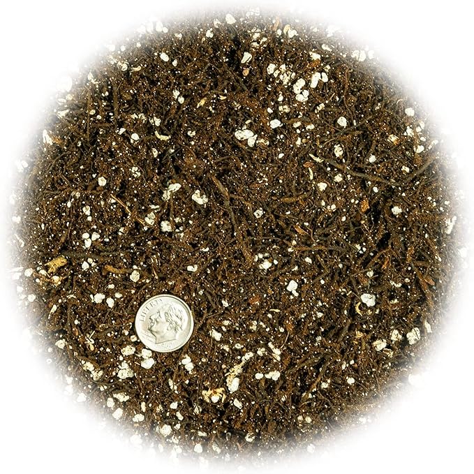 Gardenera Fern + Perlite Soil Mix for Repotting and Planting Succulents and Cactuses - 1 Quart Bag