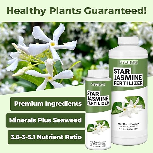 Star Jasmine Fertilizer – Liquid Plant Food for More Blooms, Stronger Vines & Sweet Fragrance, 8 oz