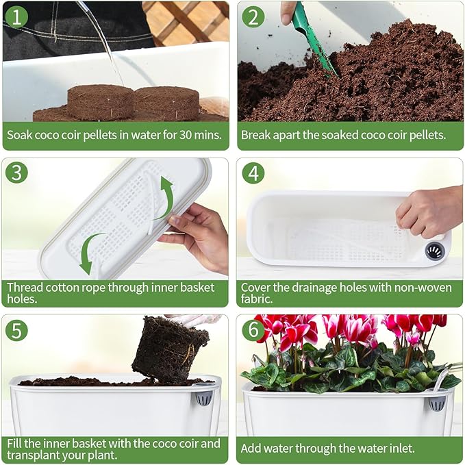 Oliz Self Watering Planter with Coco Coir Pellets, 11.8 Inch Plastic Rectangular Windowsill Plant Pot with Drainage Holes, High Clear Modern Decorative Flower Pot for Indoor Plants, African Violets