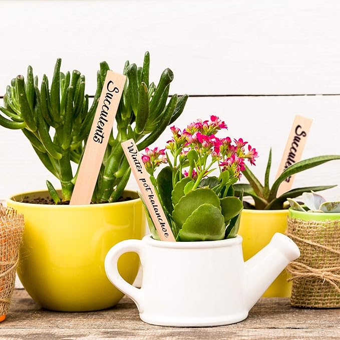 Whaline 50Pcs Wooden Plant Labels with A Marker Pen Waterproof Pointed Wooden Plant Sign Tags Garden Markers for Outdoor Indoor Garden Seed Potted Herbs Flowers Vegetables (15 x 2 cm)